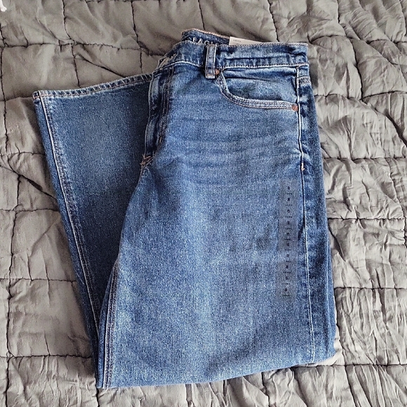 American Eagle Outfitters High Waisted Stovepipe Crop Jean In Dark Dreams - Picture 2 of 6